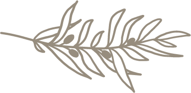 Olive Branch